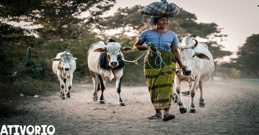 7 Alasan Pentingnya Punya Gaya Hidup Sederhana